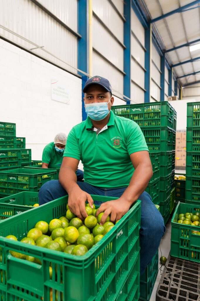 Visita a Bodega