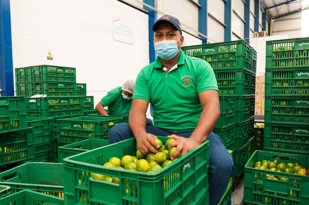 Visita a Bodega