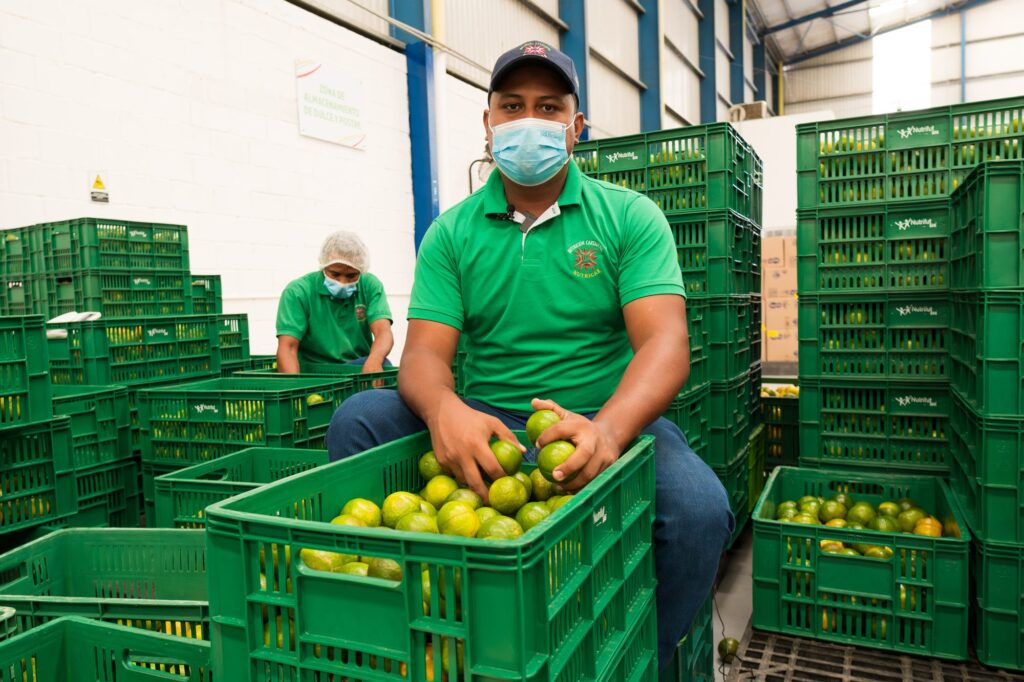 Visita a Bodega