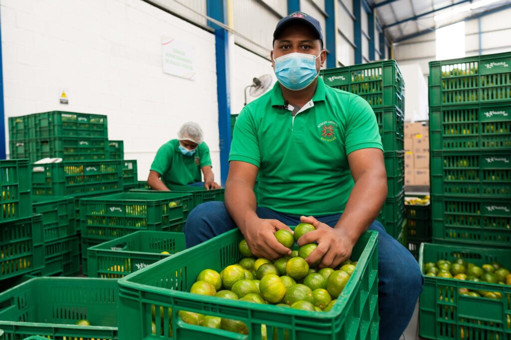 Visita a Bodega