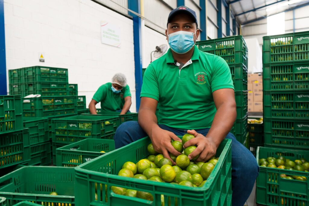 Visita a Bodega