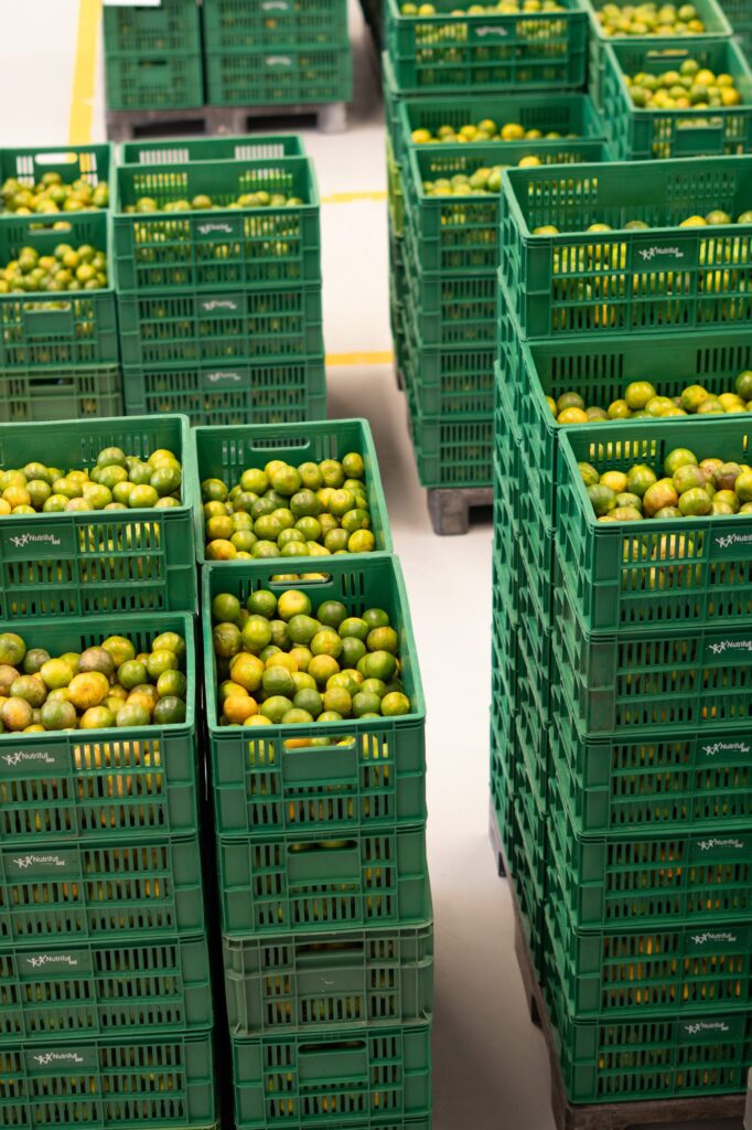 Visita a Bodega