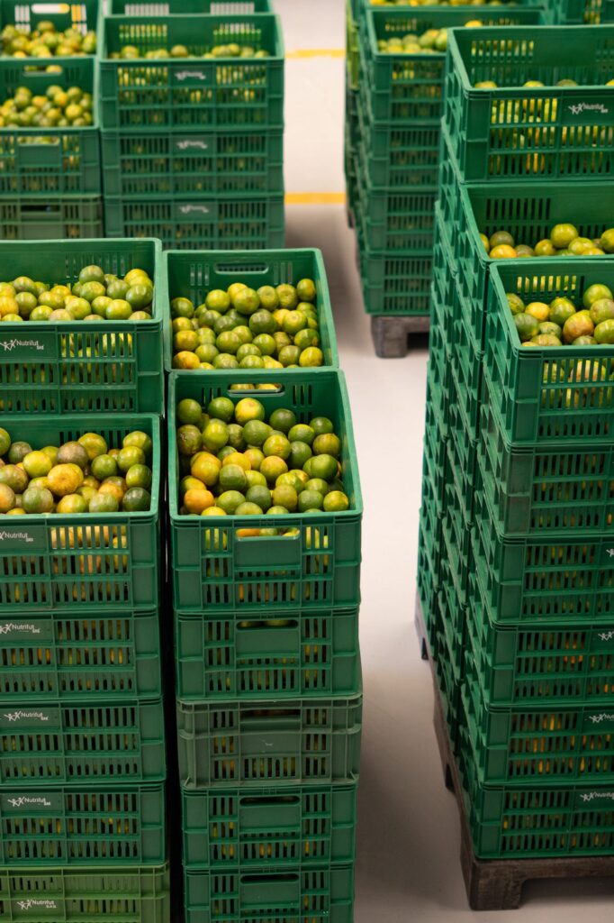 Visita a Bodega