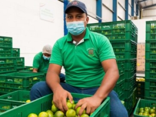 Visita a Bodega