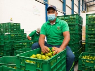 Visita a Bodega