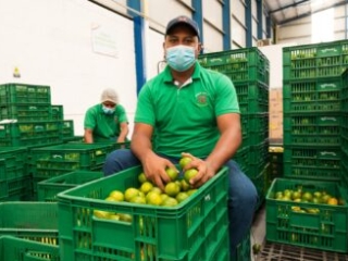 Visita a Bodega