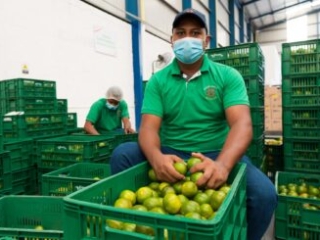 Visita a Bodega