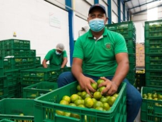 Visita a Bodega