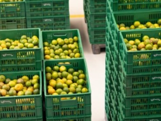 Visita a Bodega