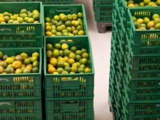 Visita a Bodega