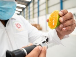 Visita a Bodega