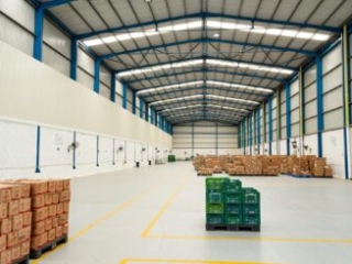 Visita a Bodega