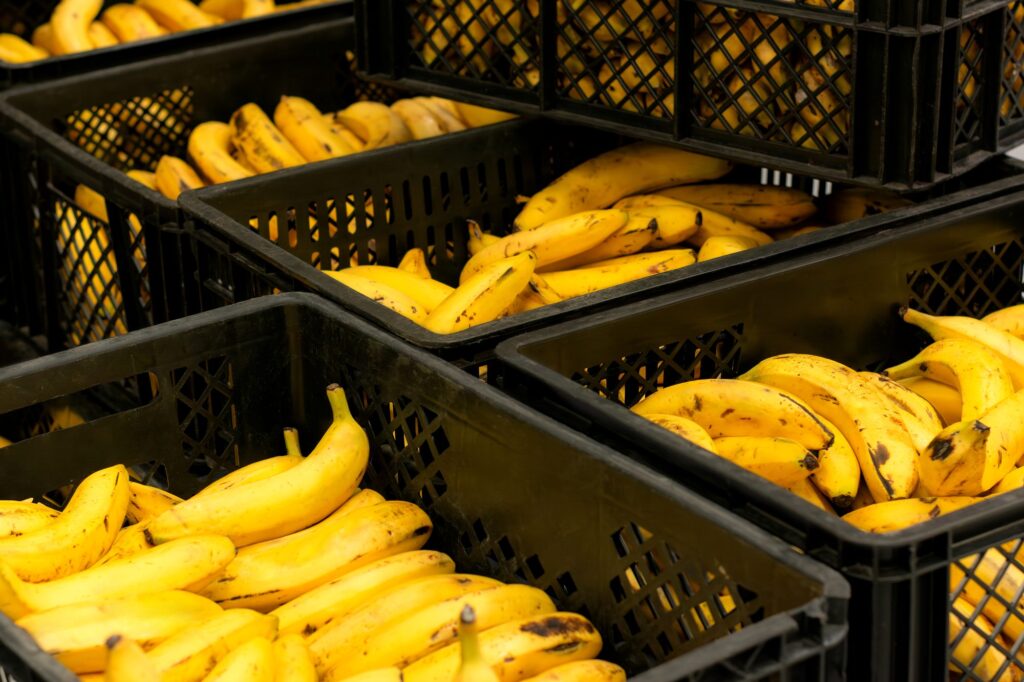 Visita a Bodega