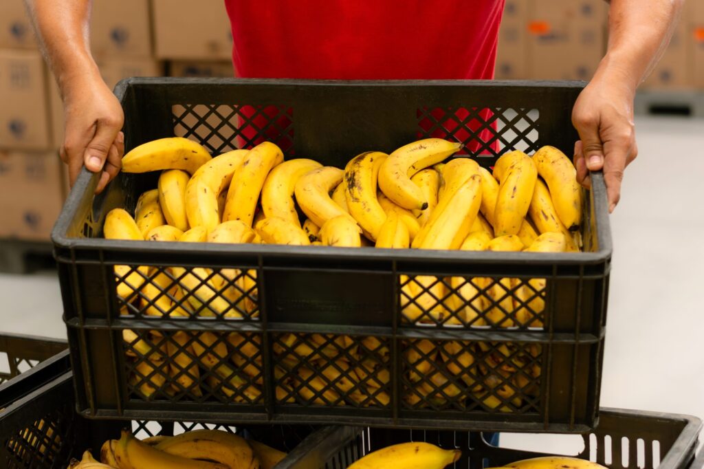 Visita a Bodega