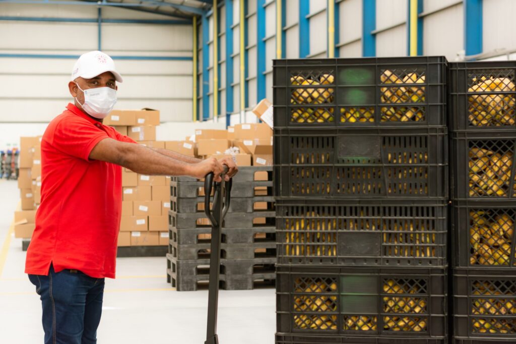Visita a Bodega