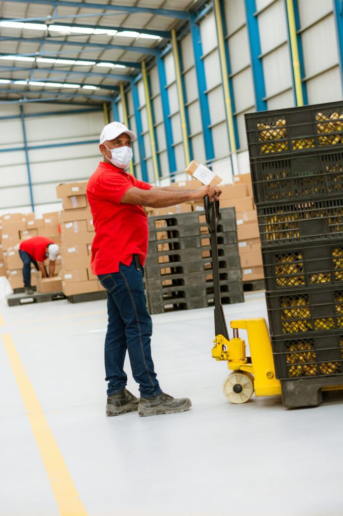 Visita a Bodega
