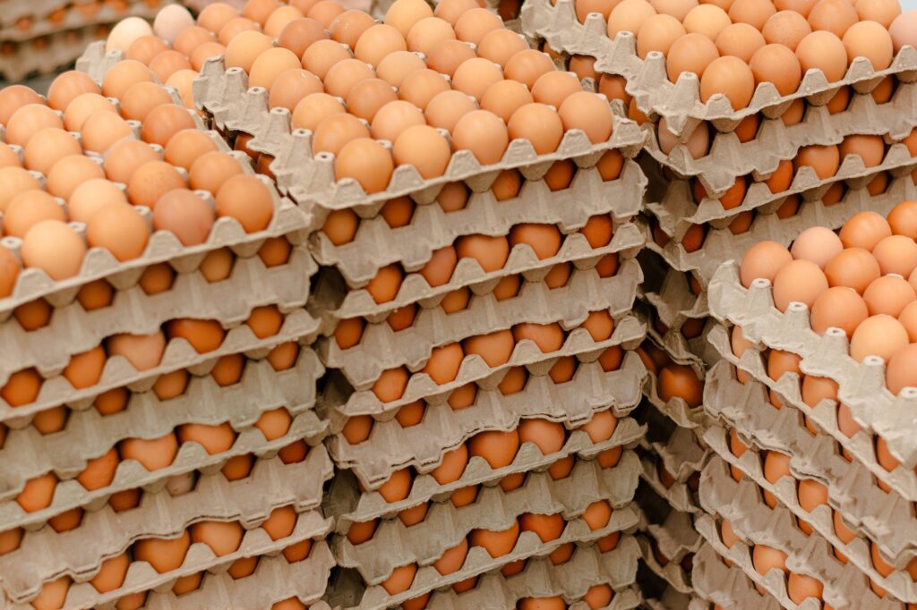 Visita a Bodega