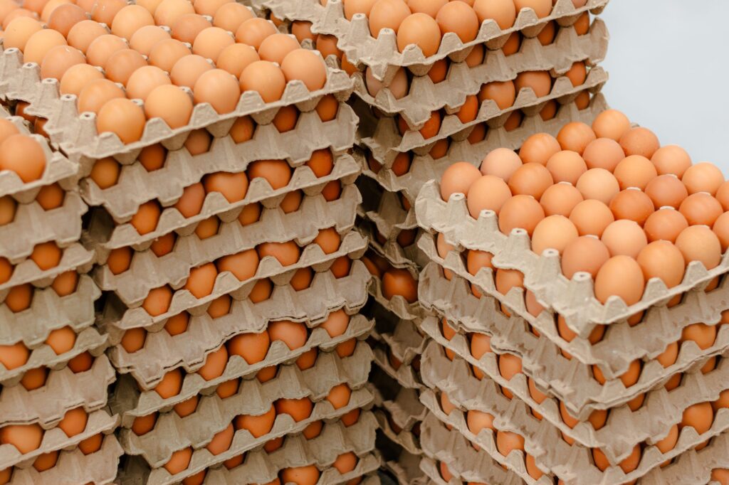 Visita a Bodega