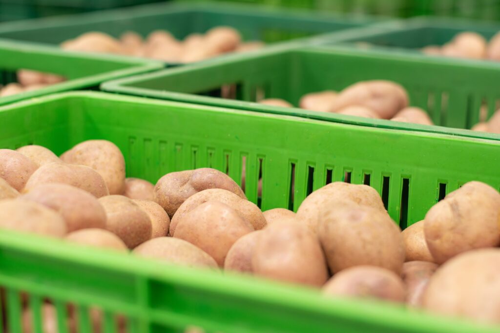 Visita a Bodega