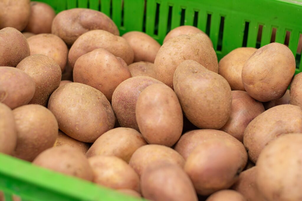 Visita a Bodega
