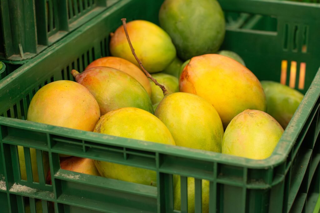 Visita a Bodega