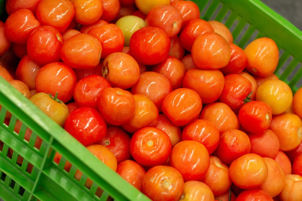 Visita a Bodega