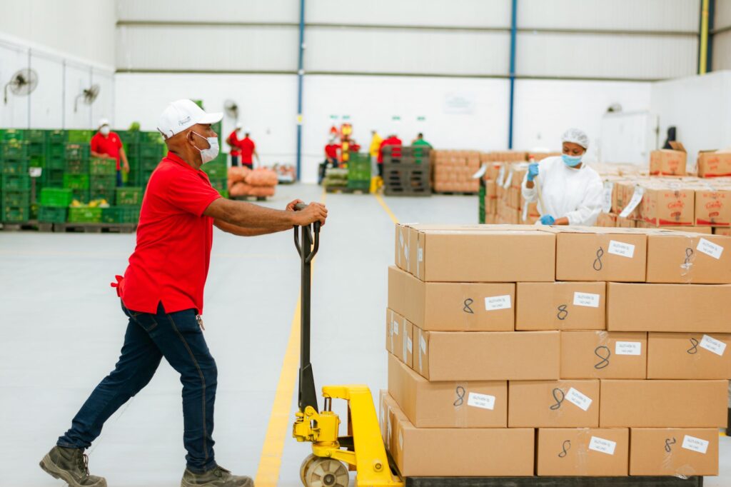 Visita a Bodega