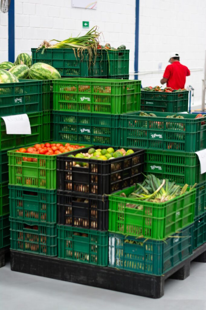 Visita a Bodega