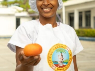 RI Mandarina