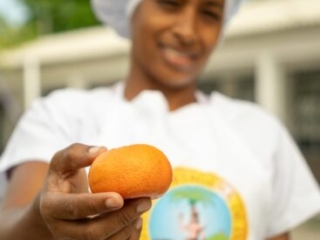 RI Mandarina