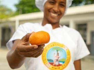 RI Mandarina
