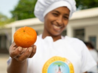 RI Mandarina