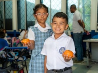 RI Mandarina