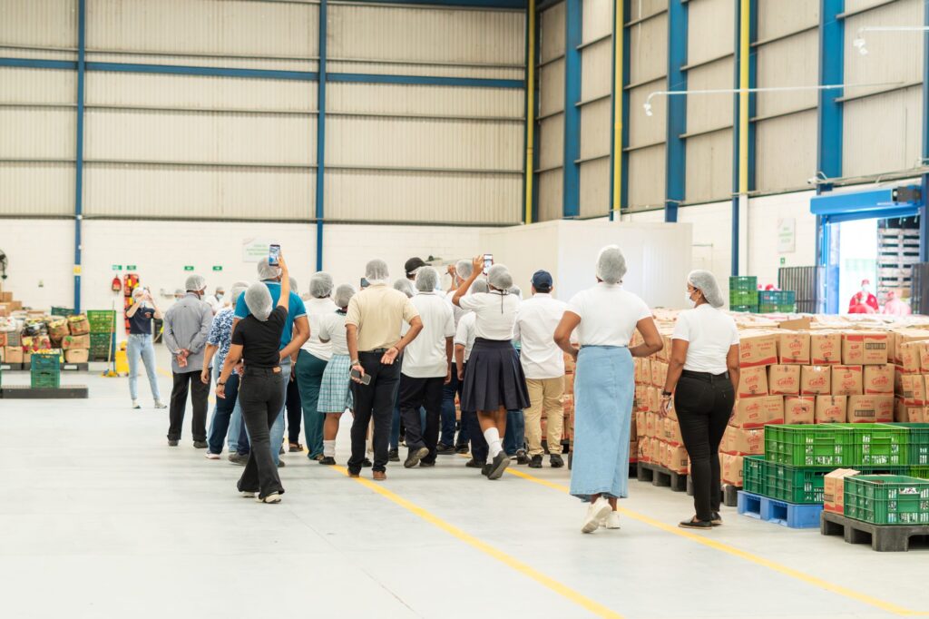 Visita SEC a Bodega