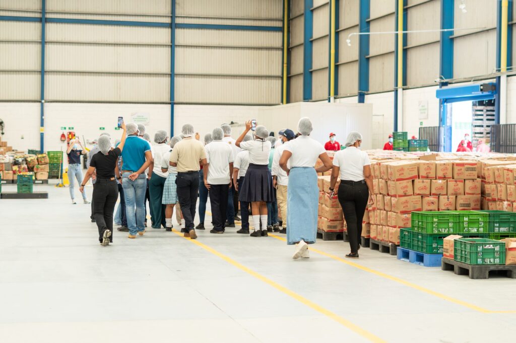 Visita SEC a Bodega