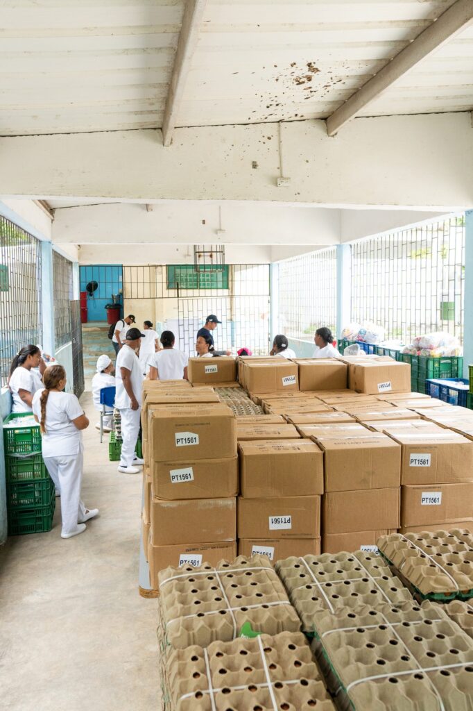 Entrega Paquetes IE Las Gaviotas