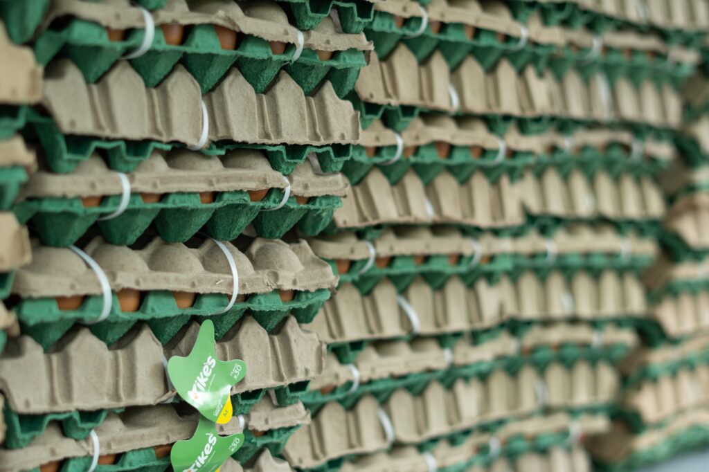 Entrega Paquetes IE Las Gaviotas